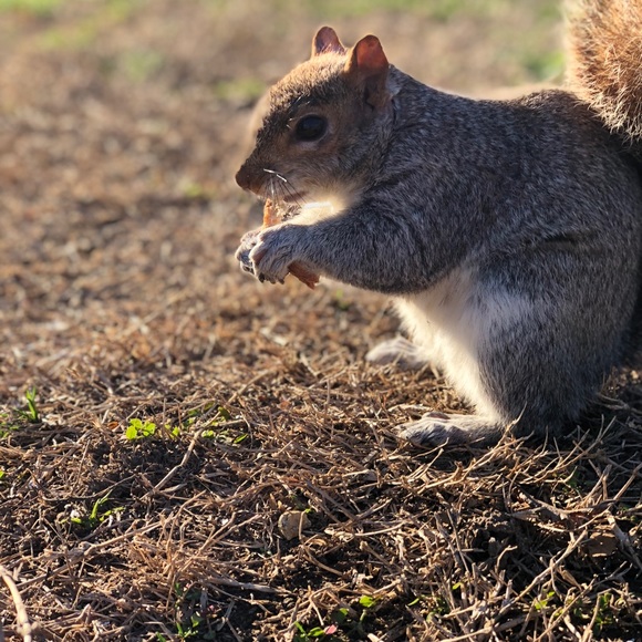 Meet your Posher, Saima - Picture 1 of 1